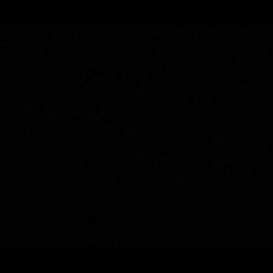 Meet your Posher, Eugene